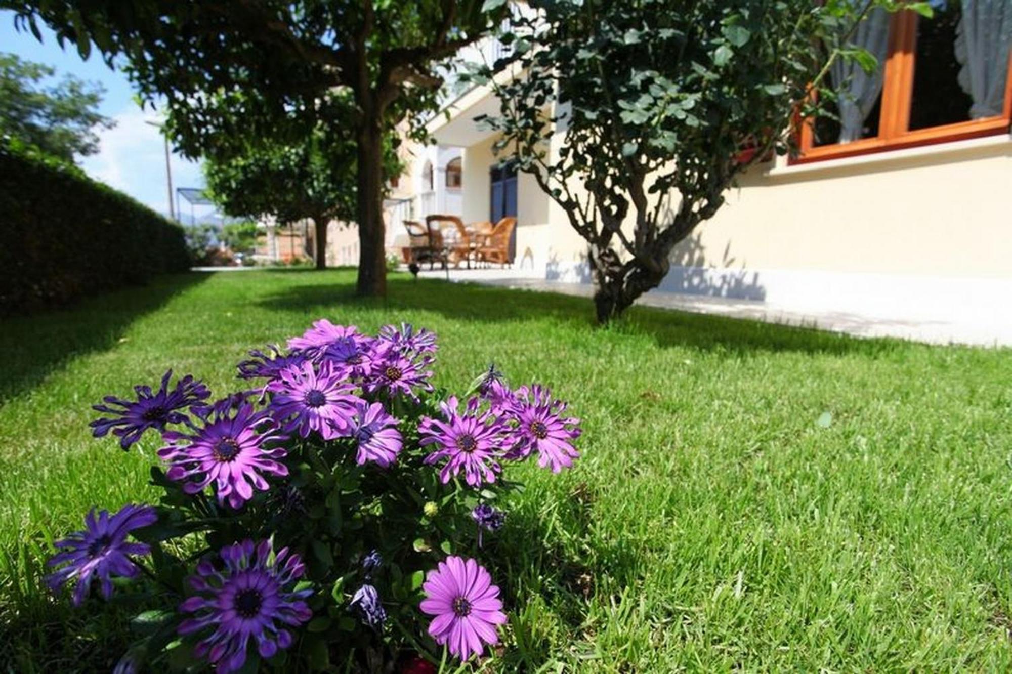 Antares Apartments Cavtat Ngoại thất bức ảnh