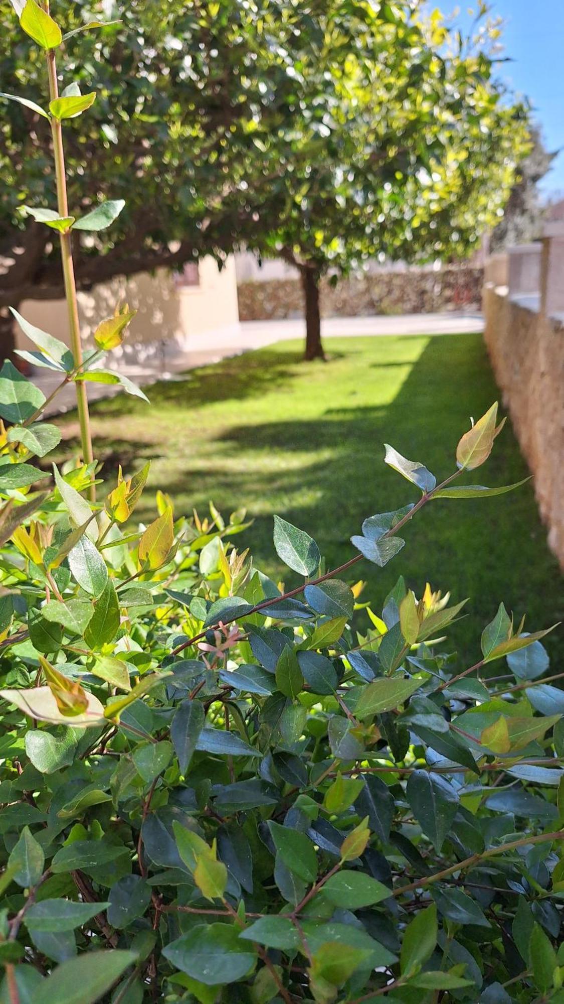 Antares Apartments Cavtat Ngoại thất bức ảnh