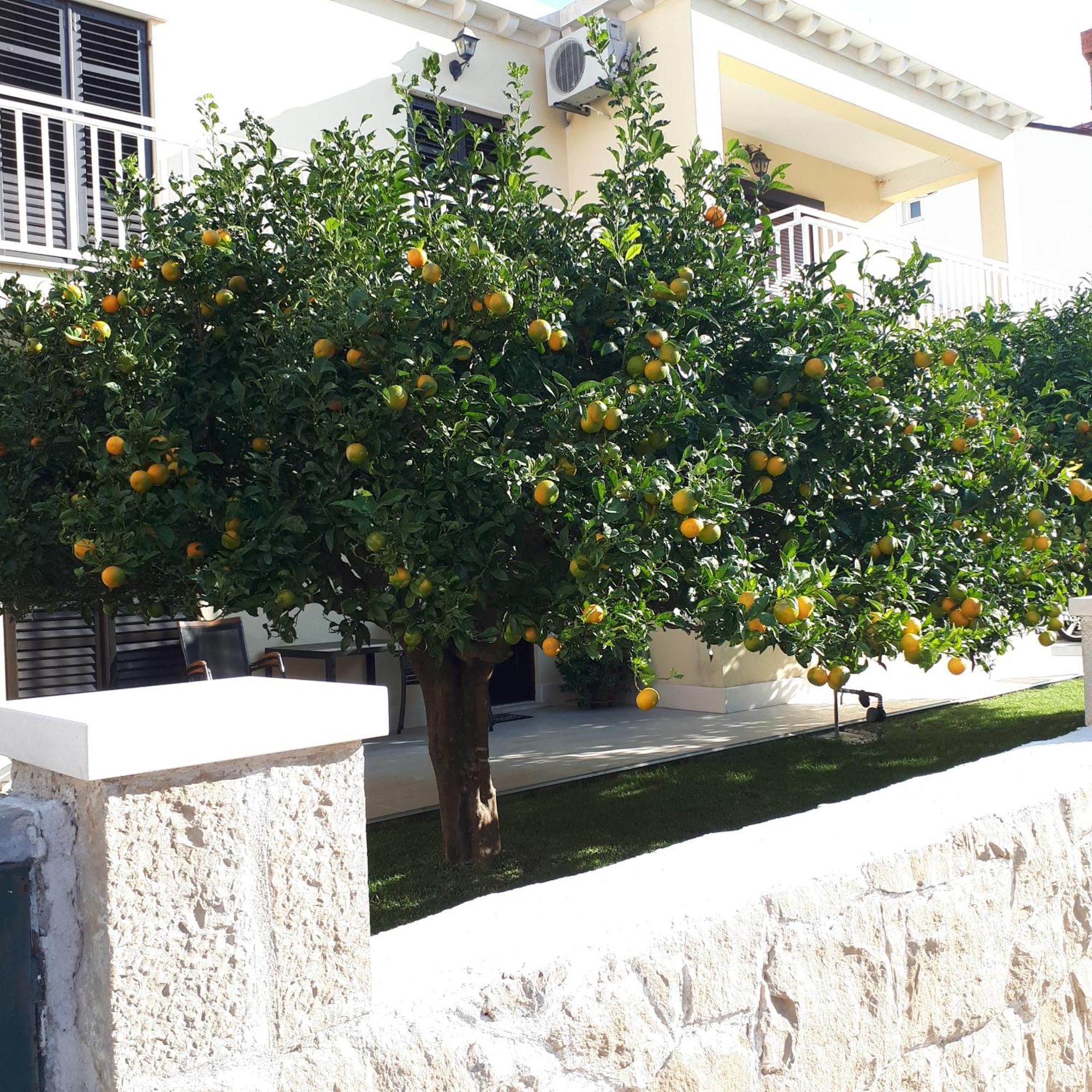 Antares Apartments Cavtat Ngoại thất bức ảnh
