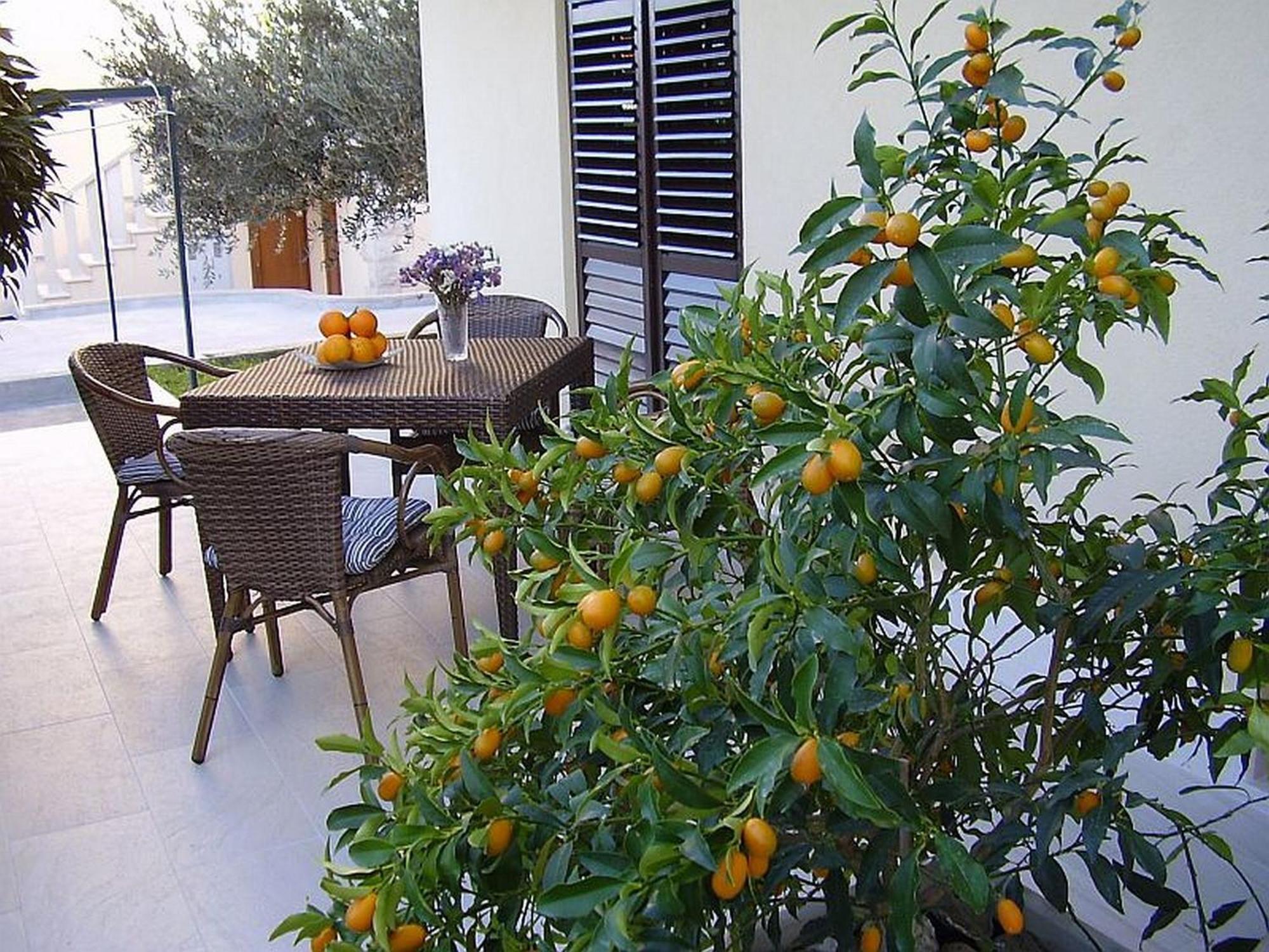 Antares Apartments Cavtat Ngoại thất bức ảnh